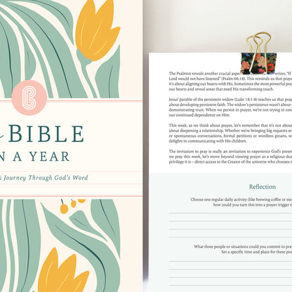 The Bible In A Year: 52-Week Journey