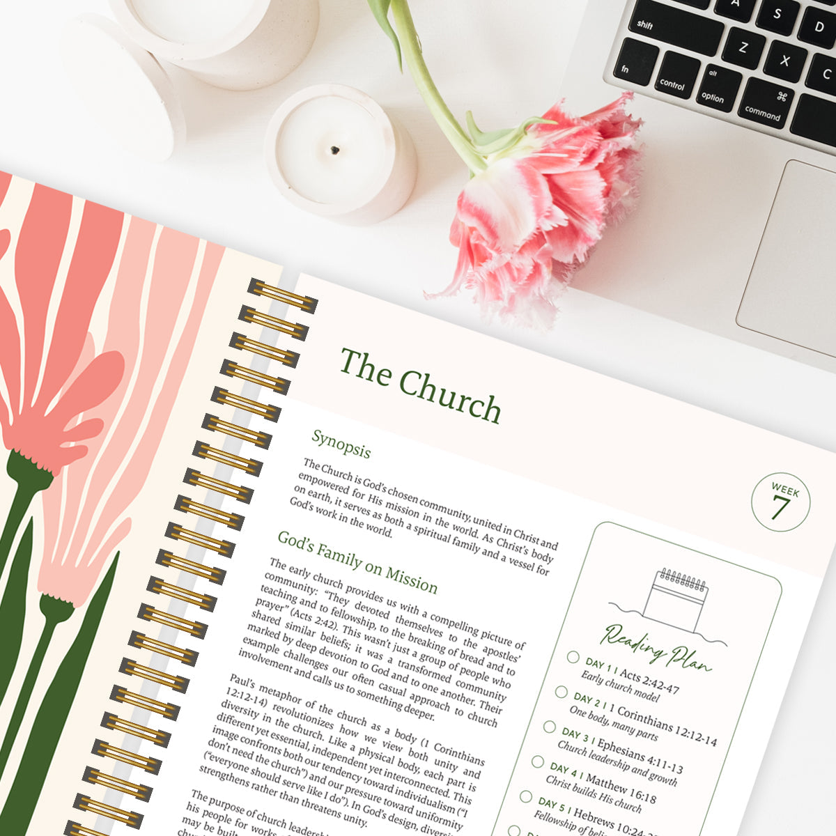 The Bible In A Year: 52-Week Journey